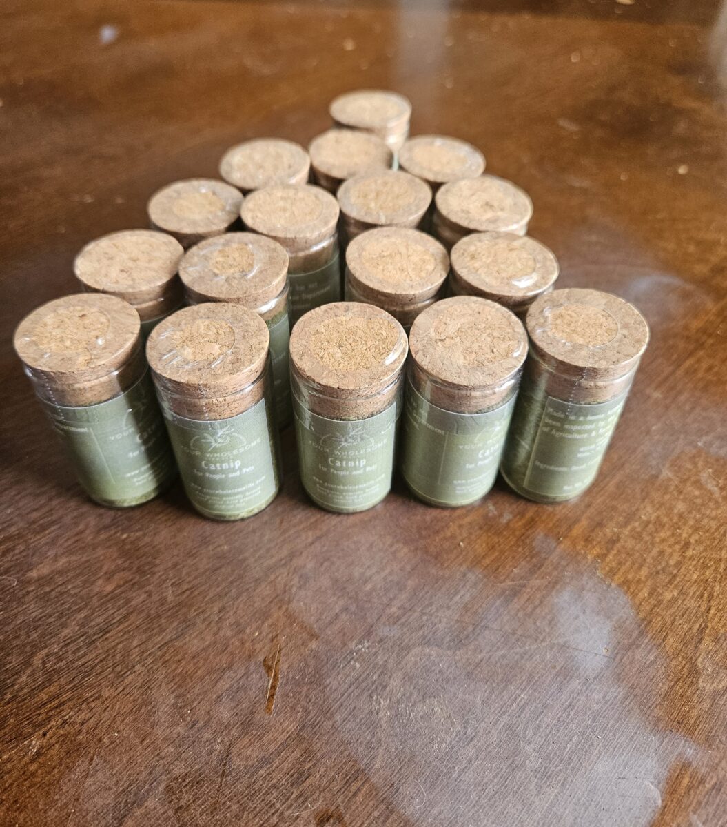 Your Wholesome Life LLC Catnip